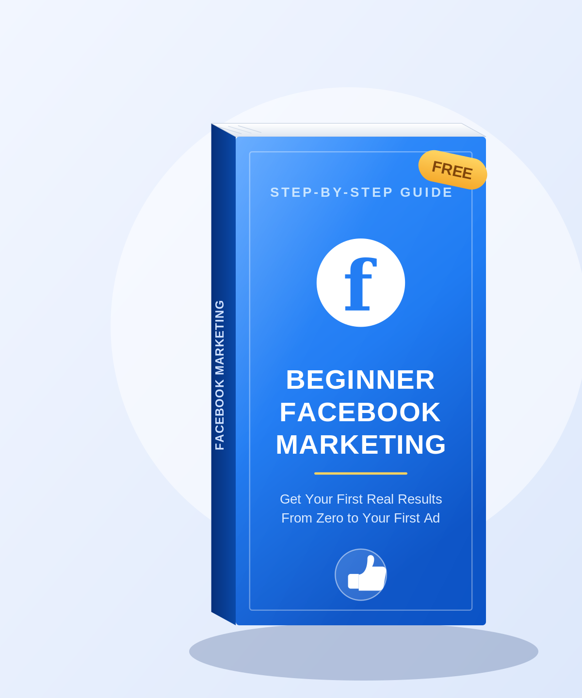 Beginner Facebook Marketing cover